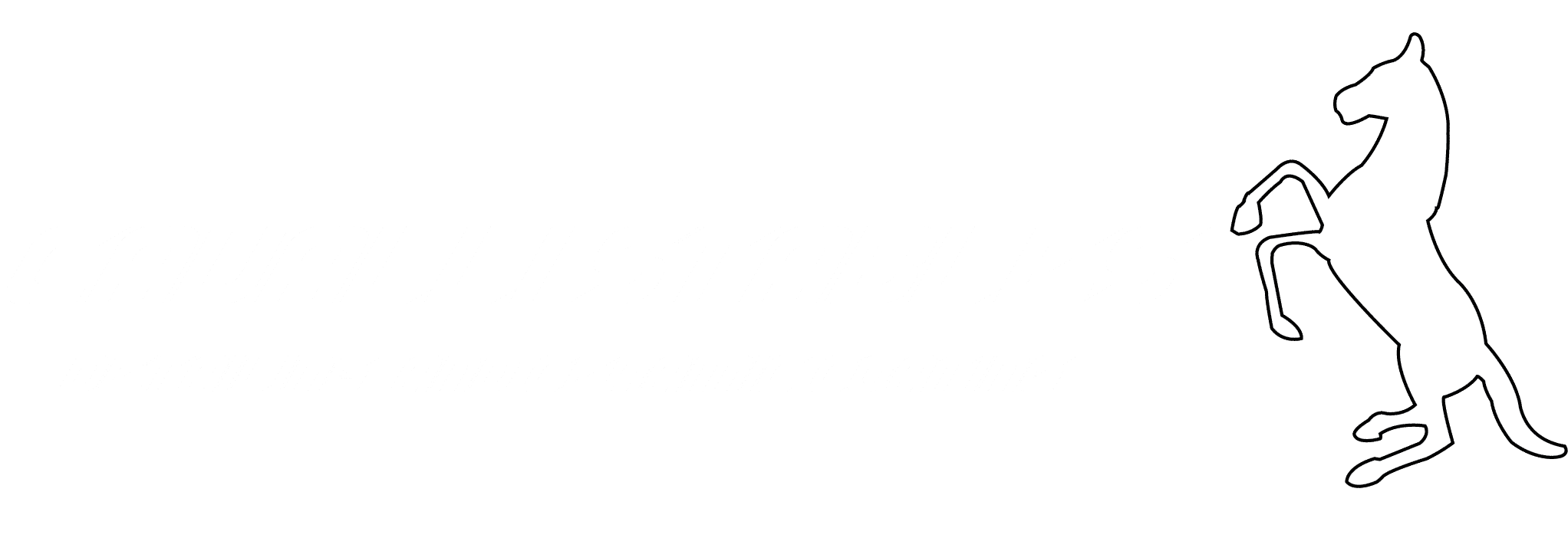 Cavalli Stables Detailing and Ceramic Coating