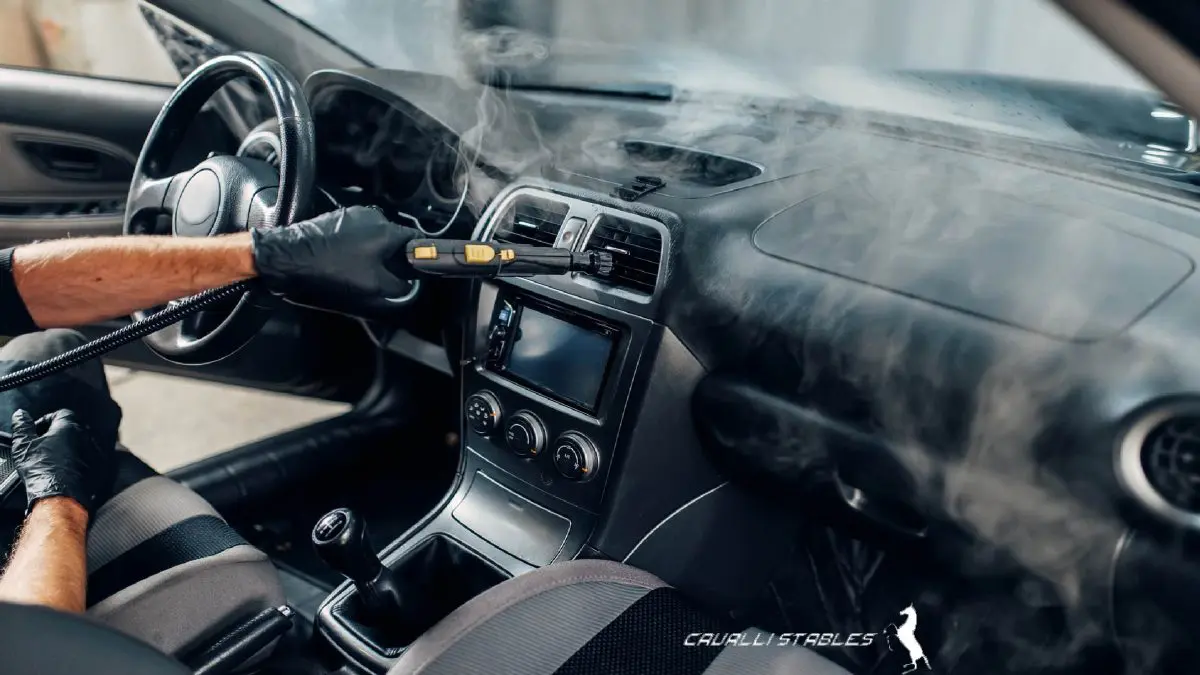 Professional car detailing